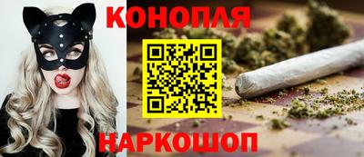 СК Будённовск
