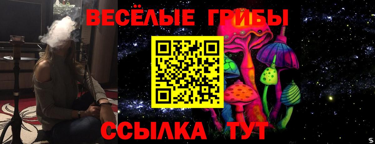 где найти наркотики  Вход с VPN  Галлюциногенные грибы MAGIC MUSHROOMS  Топки  Псилоцибиновые грибы Cubensis 